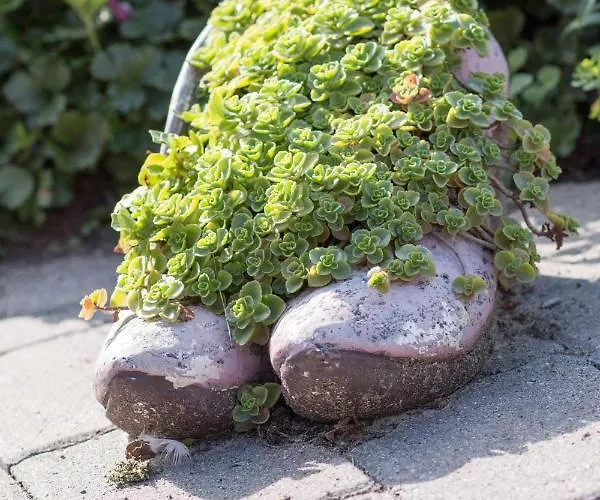 Duemmernest * Hude (Diepholz)